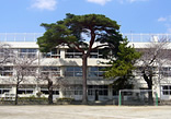 学校